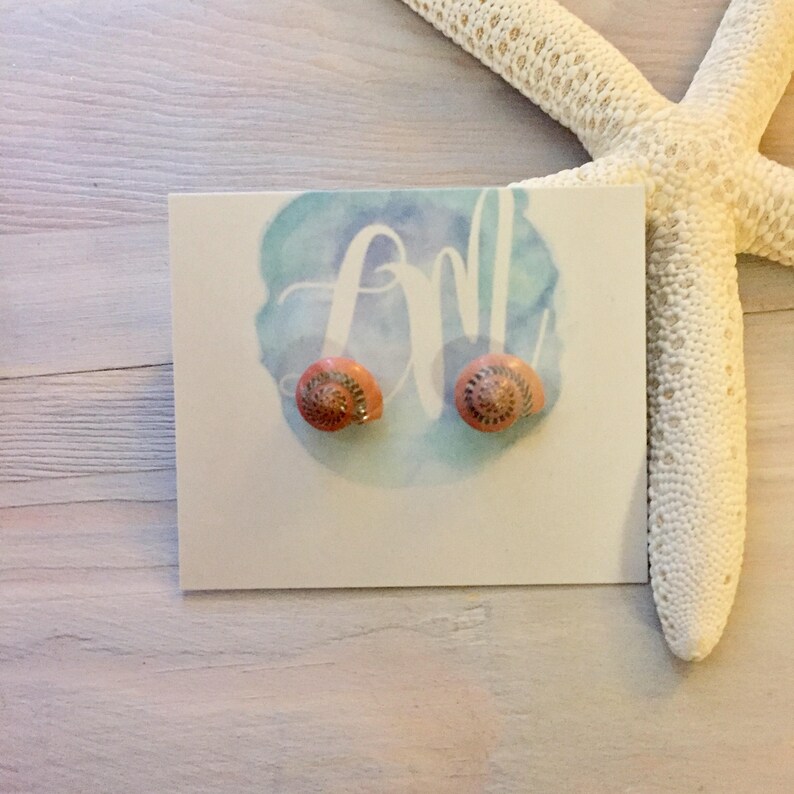 Seashell Stud Earrings Shell Earrings Beach Stud Earrings Etsy