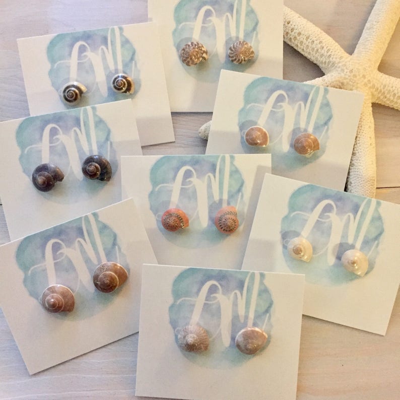 Seashell Stud Earrings Shell Earrings Beach Stud Earrings Etsy