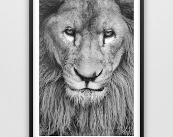 Lion Photography Print - Wildlife Photography Lion Photograph Animal Photo Lion Decor Wildlife Wall Art Nature Home Decor Animal Art