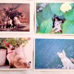 I GATTI - 32 cartoline postali da collezione