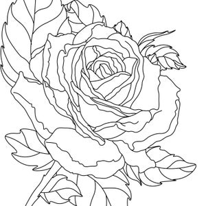 colouring roses book instant download image 10