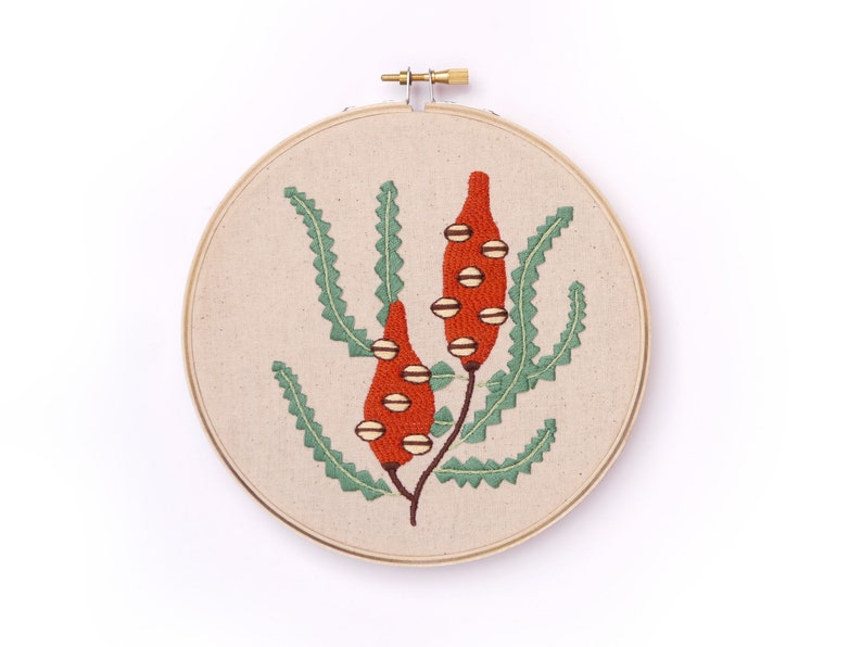 Auxiliary Embroidery Kit Australian Banksia Pattern Etsy