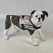 see more listings in the Staffies section