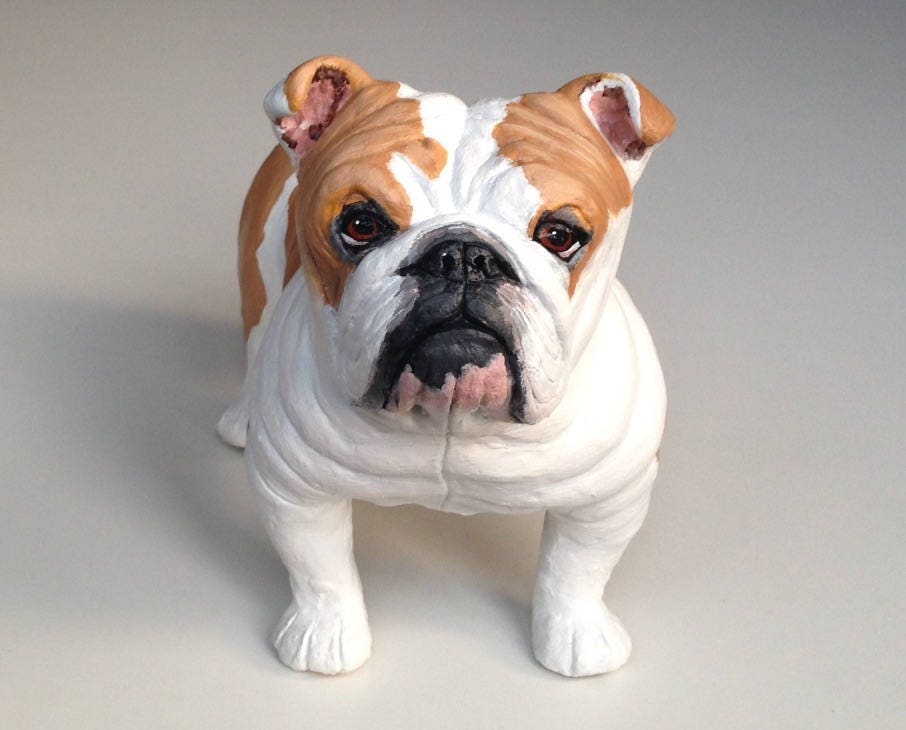 English Bulldog Puppy Glass Eyes Statue Adorable Bully Wrinkles Red Wh –  BOTEGA EXCLUSIVE