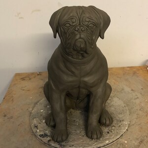 Dogue de Bordeaux Urn, French Mastiff, Pet Memorial, Pet Portrait, Dog Portrait, Dog Art, Gifts for Dog Lovers, Clay Sculpture, Dog Memorial image 5