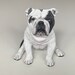 see more listings in the English Bulldogs  section