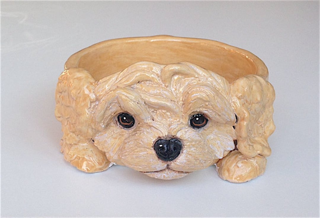 Dog Bowl, Dog Bowls, Ceramic Dog Bowl, Custom Bowl, Cockapoo, Personalized Bowl, Ceramic Bowl