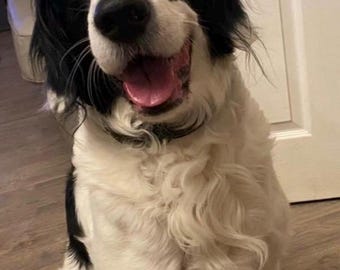 Custom Order for Courteney