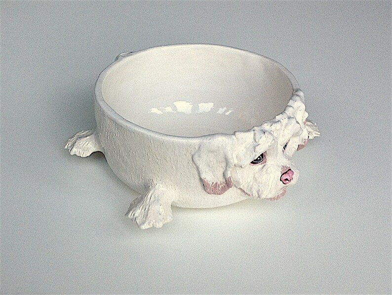 Ciotola In Ceramica Per Cani E Gatti - Design Con Stampa Cane, Diametro 16 Cm, 800 Ml - Foto 2