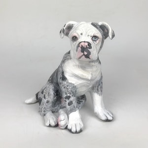 English Bulldog Urn, Custom Pet Urn, Pet Urn for Ashes, Dog Urns for Ashes, Pet Cremation Urn, Custom Pet Cremation Urn, pet urns for ashes