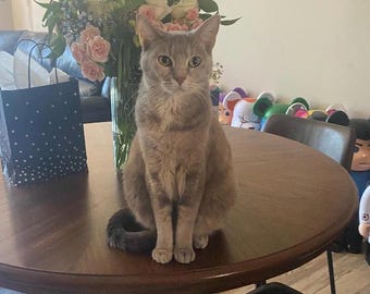 Specialbeställning för Kyle