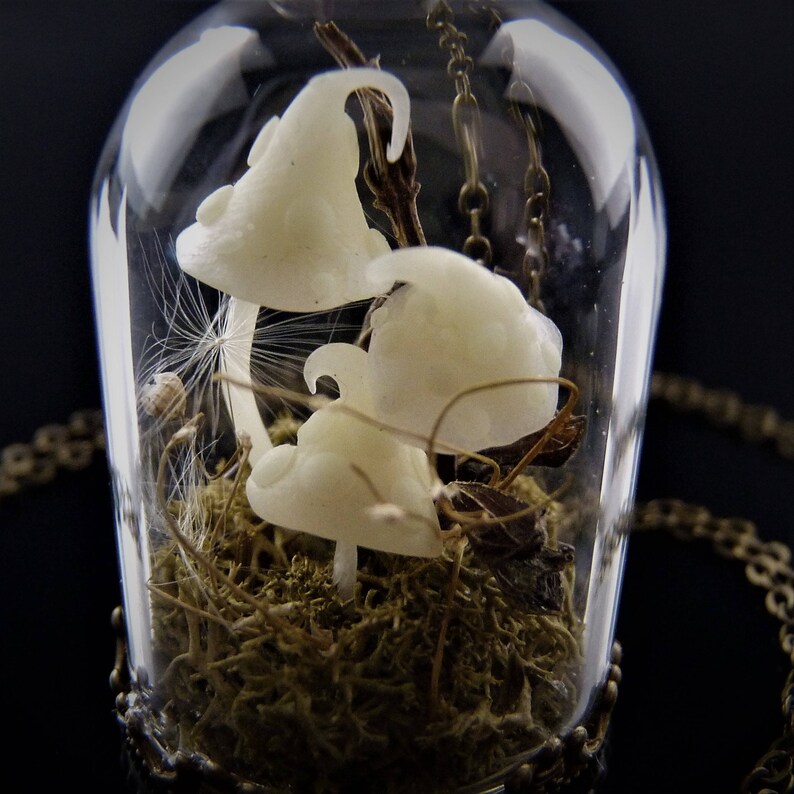 Miniature Mushrooms and Dried Flowers Terrarium Necklace Etsy