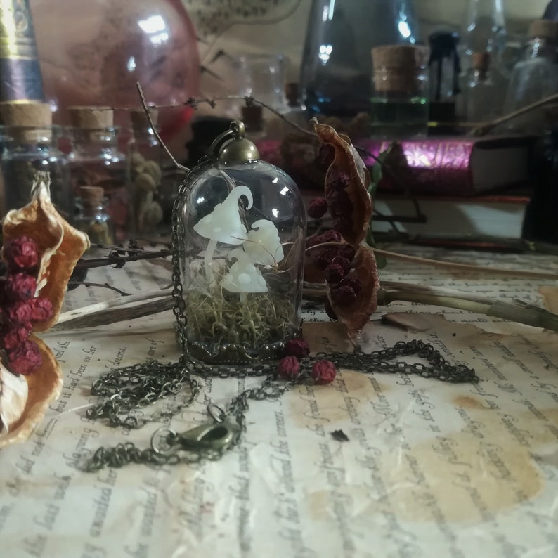 Miniature Mushrooms and Dried Flowers Terrarium Necklace Etsy