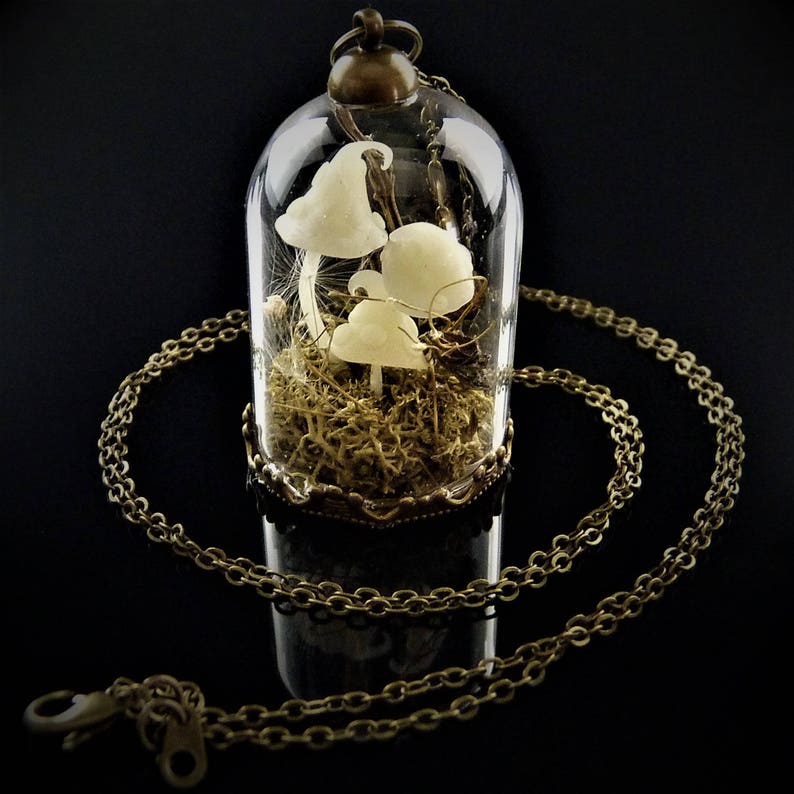 Miniature Mushrooms and Dried Flowers Terrarium Necklace Etsy