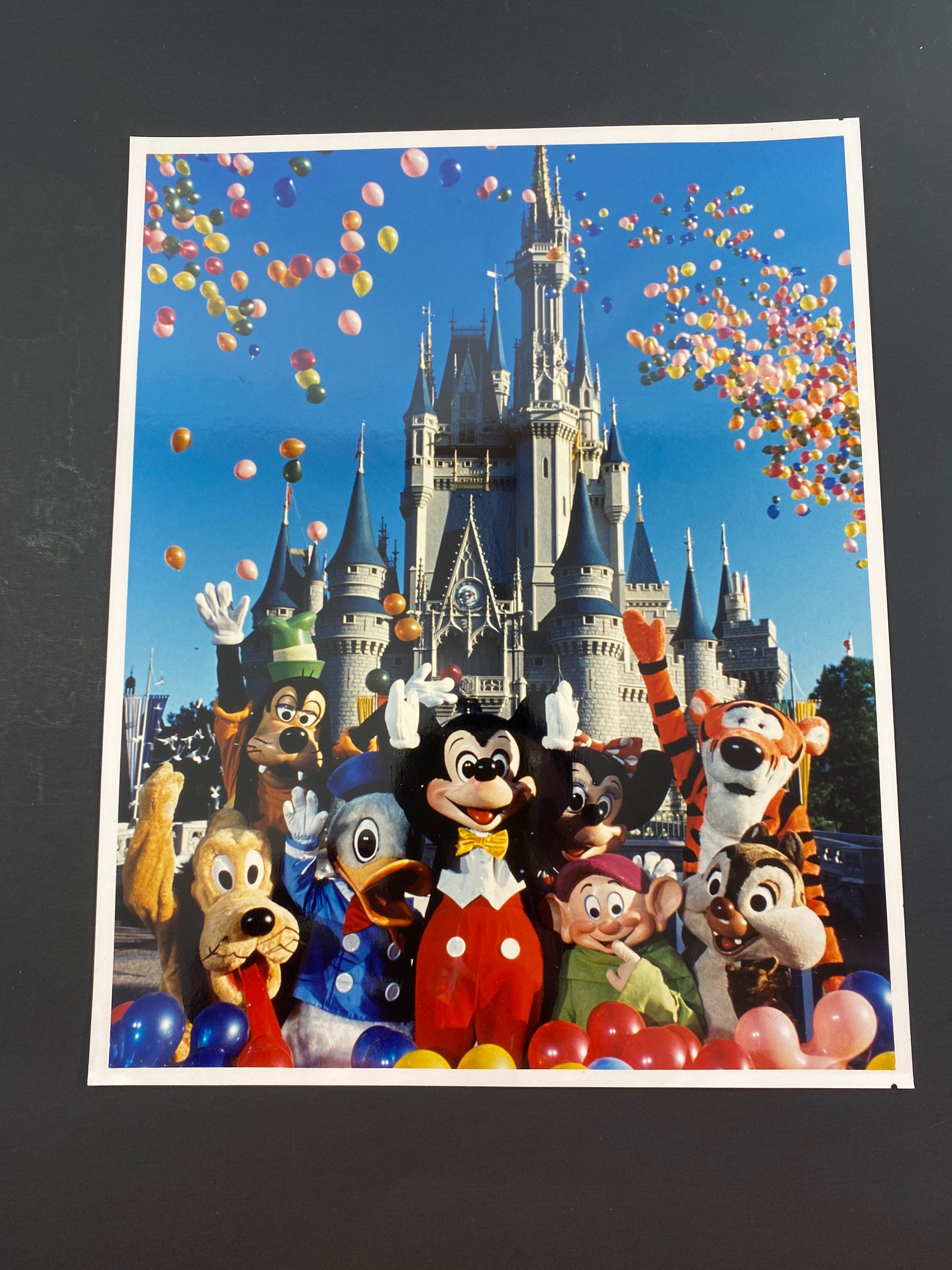 1990 Magic Kingdom Cinderella Castle Press Publicity Photo