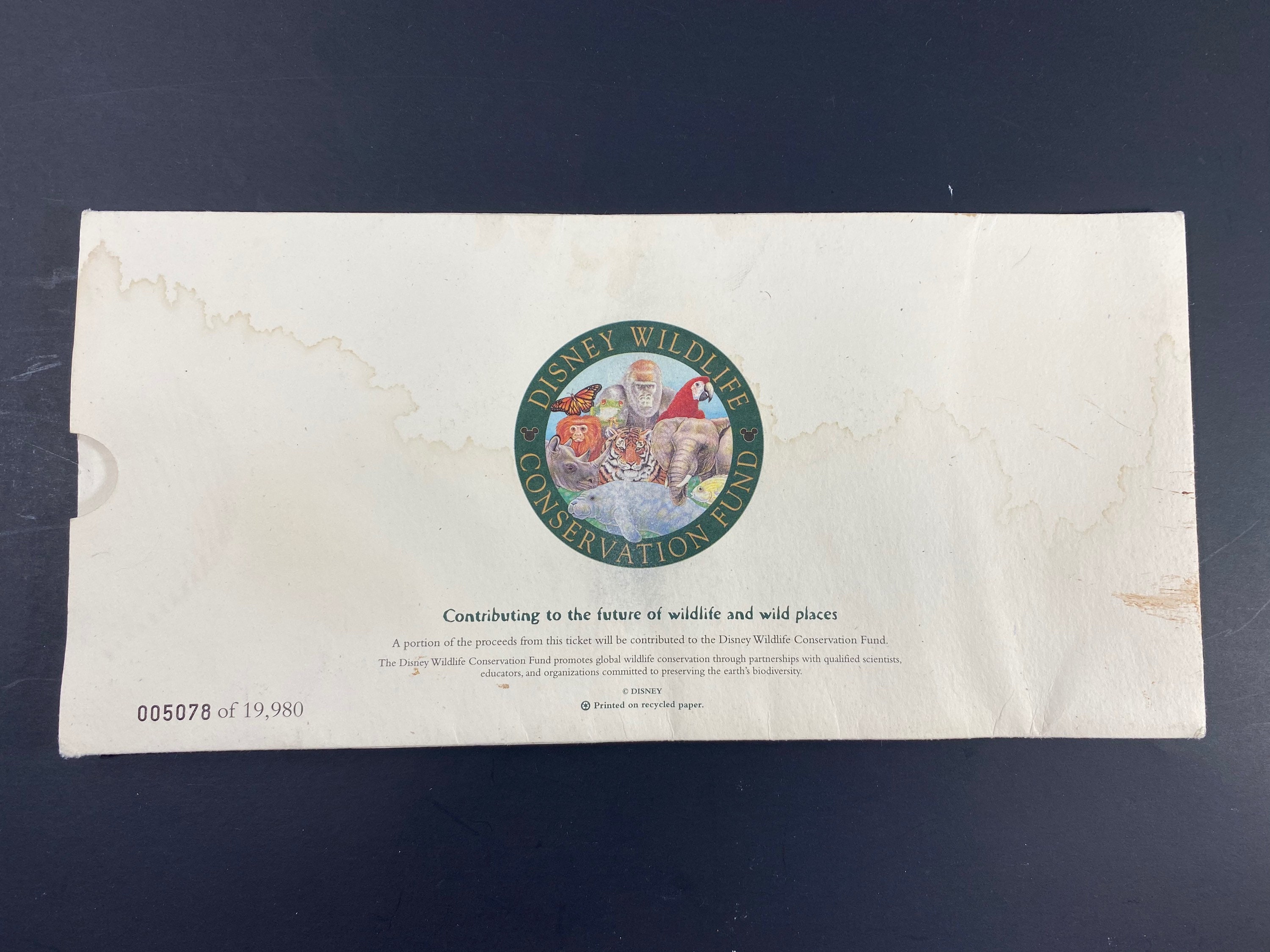 Disney's Animal Kingdom Limited Edition Opening Day Commemorative