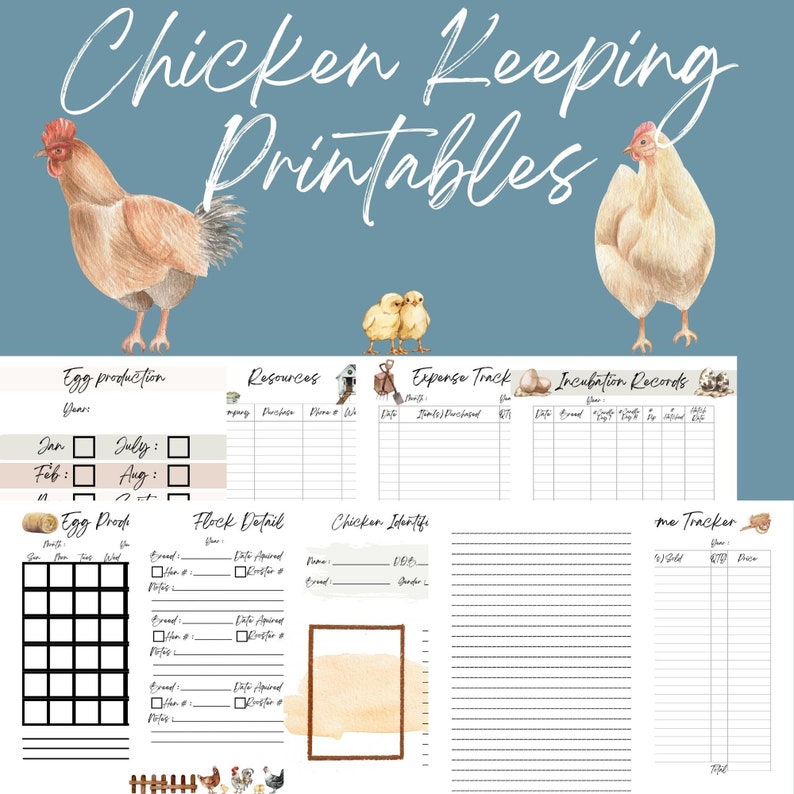 Backyard Chicken Keeping Printable Chicken Record Keeping Digital
