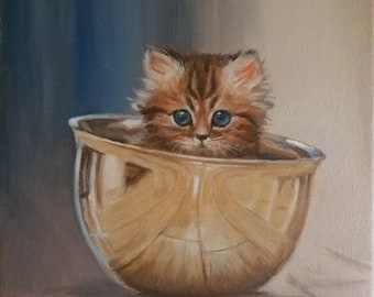 Bowl kitten