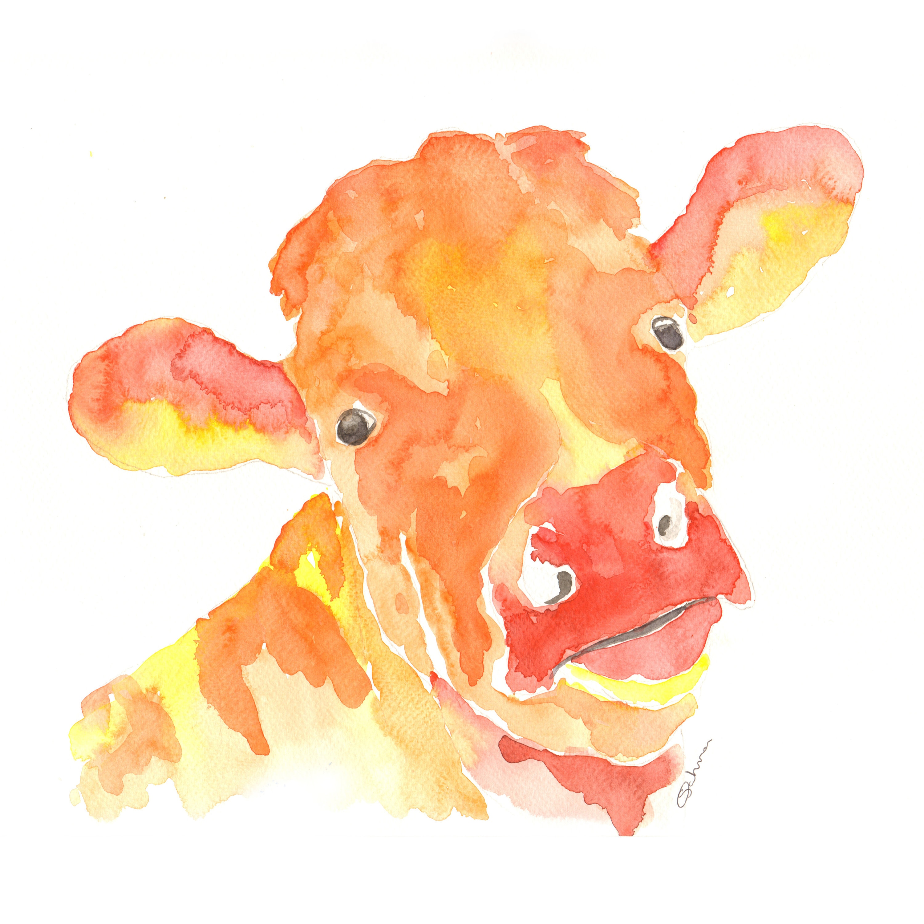 Cow, Guernsey cow painting, Watercolour painting of a Guernsey cow