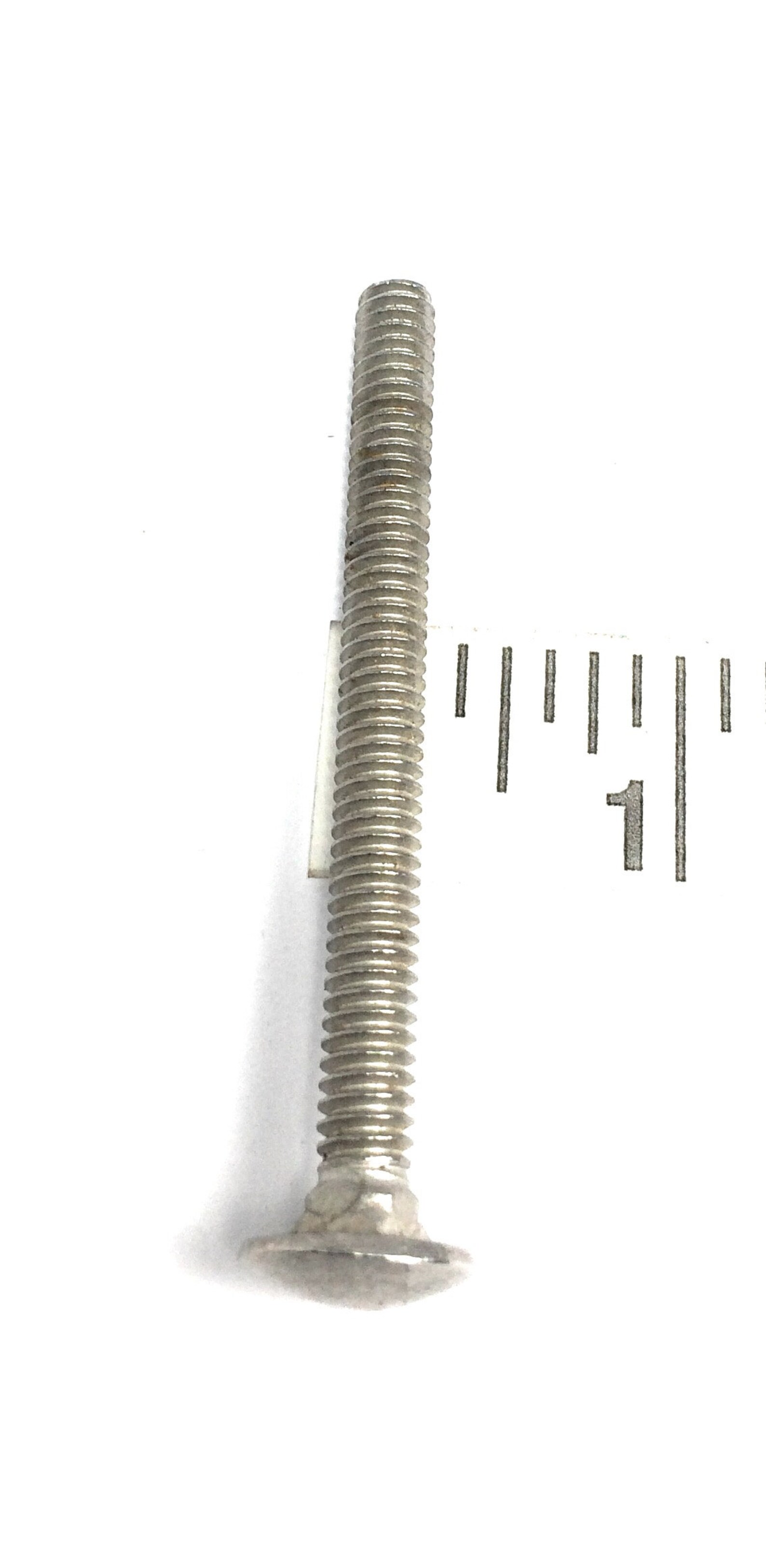 Bulloni A Testa Tonda Per Carrozzeria 1/4-20 X 2-1/4 | Acciaio Inox (Qty 25) | Star
