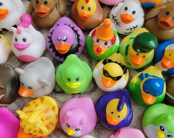 15 Cruise RUBBER DUCKS