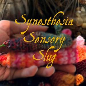 Synesthesia Sensory Slug - Crochet Fidget - Customizable