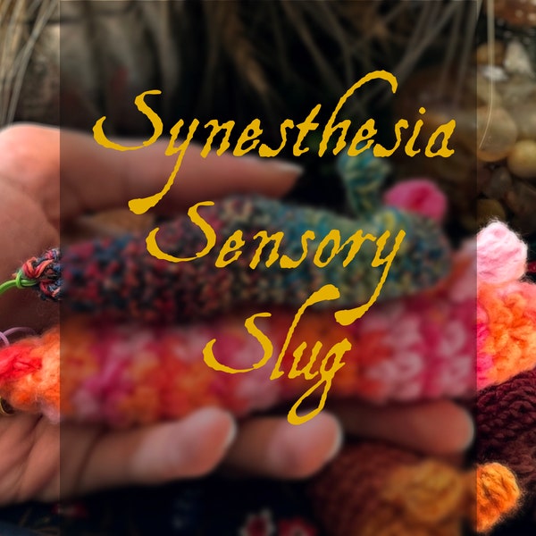 Synesthesia Sensory Slug - Crochet Fidget - Customizable