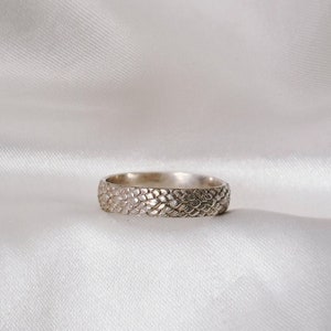 May include: A silver ring with a textured, snake-skin design.