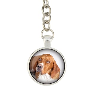 May include: A silver key chain with a round glass charm featuring a brown and white dog with brown eyes. The dog is looking to the left of the image.