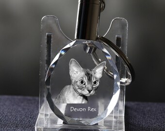 Collection! High Quality Exceptional Gift Devon rex SIlver Necklace 925 cat Crystal Pendant