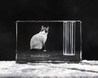 snowshoe cat art etsy