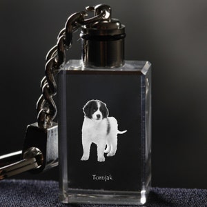 Tronjak  , Dog Crystal Keyring, Keychain, High Quality, Exceptional Gift . Dog keyring for dog lovers