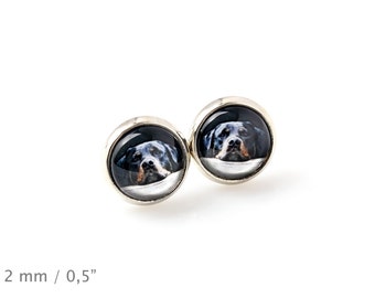 Rottweiler. Pet in your ear. Earrings. Photojewelry. Handmade.