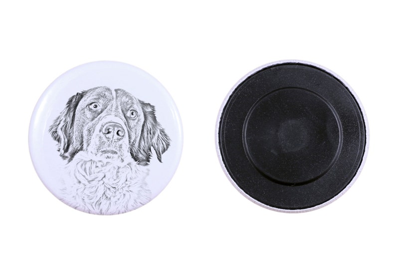French Spaniel Magnet with a dog