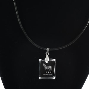Canadian horse, Belgian draft horse ,  Horse Crystal Necklace, Pendant, High Quality, Exceptional Gift, Collection!