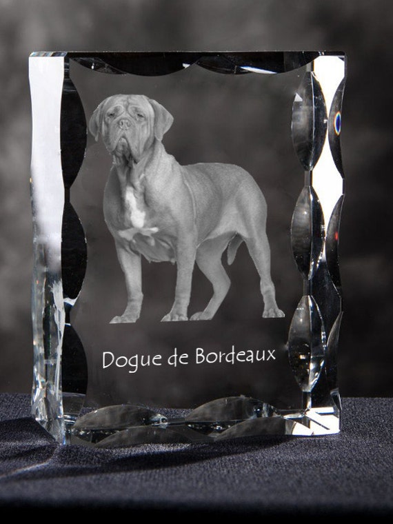 french mastiff grey