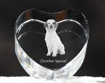 Clumber Spaniel, crystal heart with dog, souvenir, decoration, limited edition, Collection