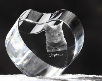 Chartreux, crystal heart with cat, souvenir, decoration, limited edition, Collection