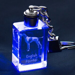 Op de afbeelding: Een blauwe kristallen sleutelhanger met een zilveren ketting en een lasergegraveerd beeld van een Engelse Pointer. De sleutelhanger heeft de woorden "English Pointer" gegraveerd.