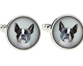 Boston Terrier. Cufflinks for dog lovers. Photo jewellery. Men's jewellery. Handmade