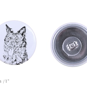 Earrings with a dog - Nova Scotia duck tolling retriever