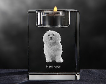 Havanese, crystal candlestick with dog, souvenir, decoration, limited edition, Collection