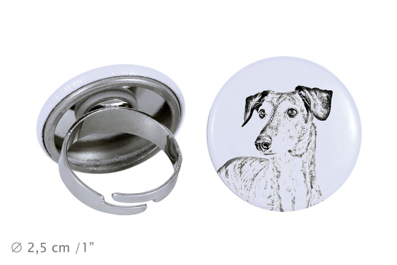 Ring with a dog Sloughi