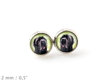 Neapolitan Mastiff. Pet in your ear. Earrings. Photojewelry. Handmade.