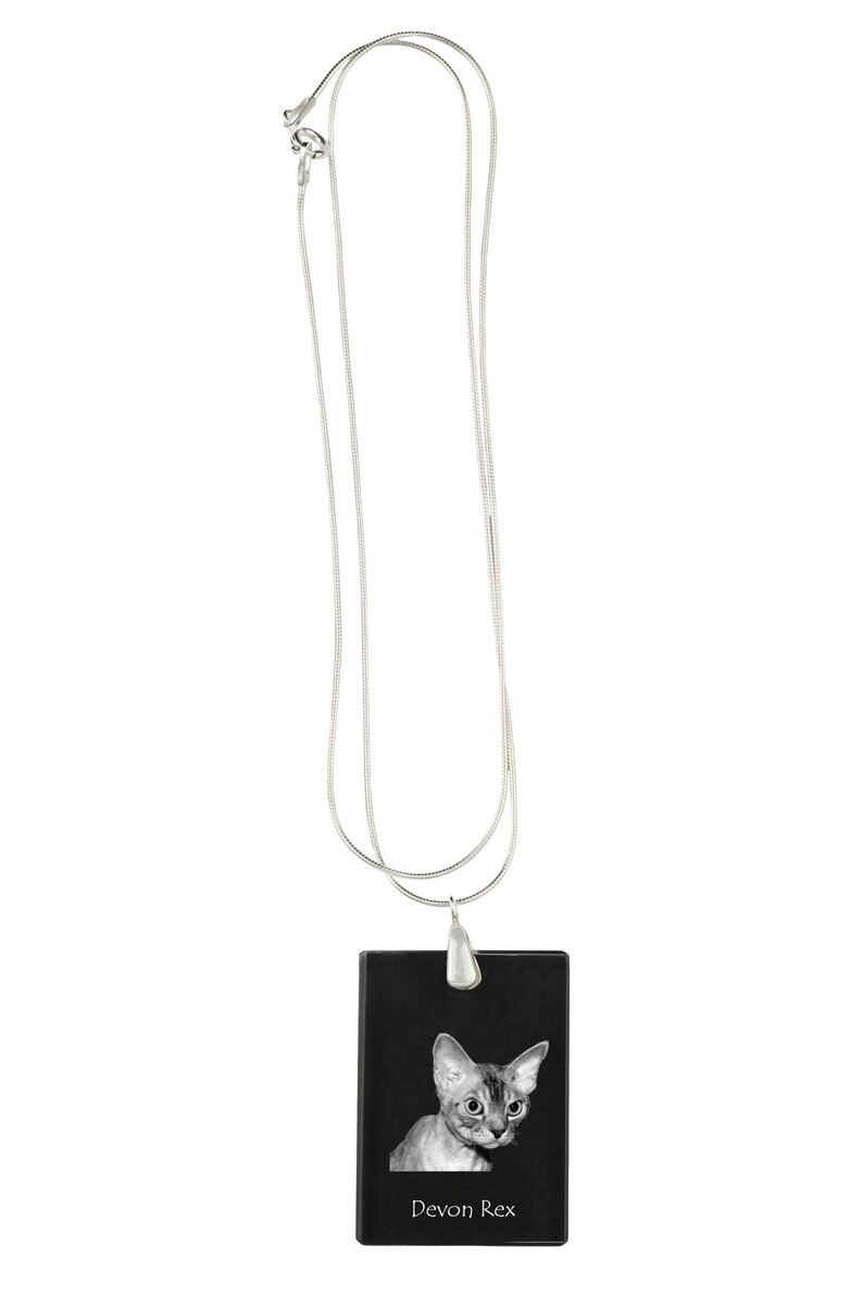 Collection! High Quality Exceptional Gift Devon rex SIlver Necklace 925 cat Crystal Pendant