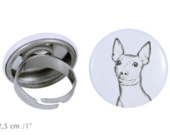 Ring with a dog- American Hairless Terrier