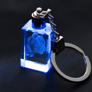 Könnte beinhalten: Ein blauer Glas-Schlüsselanhänger mit einem 3D-Bild eines Hundes im Inneren. Der Schlüsselanhänger hat einen silbernen Metallring.