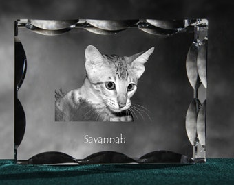 Savannah cat, Cubic crystal with cat, souvenir, decoration, limited edition, Collection