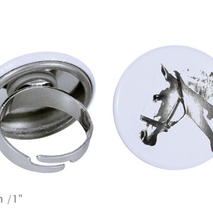 Ring with a horse - Spanish-Norman horse