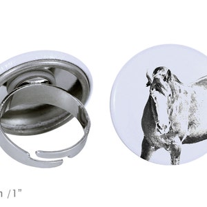 Ring with a horse - Clydesdale